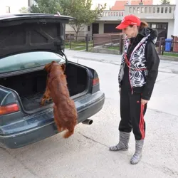 Ranné prechádzky