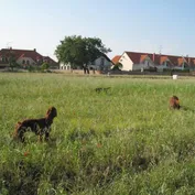 Annie na prázdninách