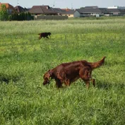 Annie na prázdninách