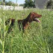 Annie na prázdninách