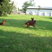 V parku prázdniny pokračujú