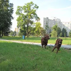V parku prázdniny pokračujú