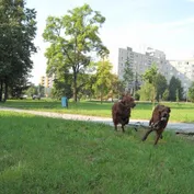 V parku prázdniny pokračujú