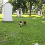 V parku prázdniny pokračujú