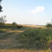 Siladice - rybník