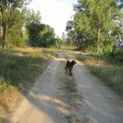 Siladice - rybník