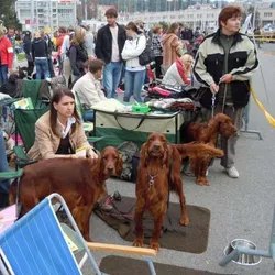 NVP Brno 25.9.2010