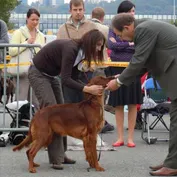 NVP Brno 25.9.2010