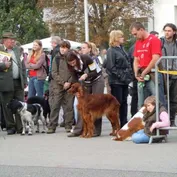 NVP Brno 25.9.2010