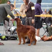 NVP Brno 25.9.2010