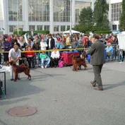 NVP Brno 25.9.2010