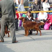 NVP Brno 25.9.2010