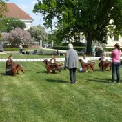 KV Slavkov u Brna