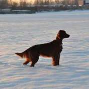 Zima 2010