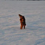 Zima 2010