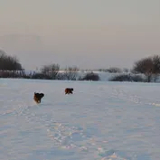 Zima 2010