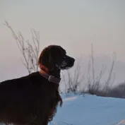 Zima 2010