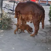 Prvýkrát vonku