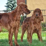 Varovka