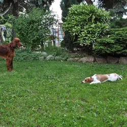 Mini návšteva