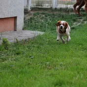 Mini návšteva
