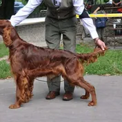 Špeciálna klubová výstava - Kamenný Mlyn