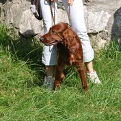 Súrodenci