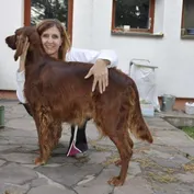 Čakáme šteniatka