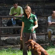 Súrodenci