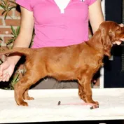 Jessy