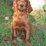 Jessy
