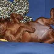 Jessy
