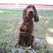 Jessy 3 mesiace
