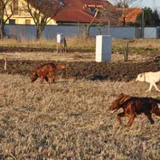 Čakáme na sneh...