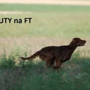 Krásni a úspešní...