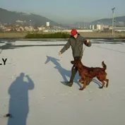Krásni a úspešní...
