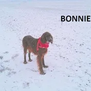 Krásni a úspešní...