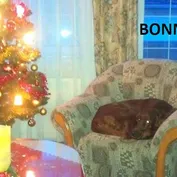 Krásni a úspešní...