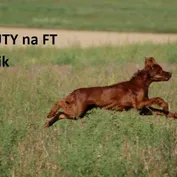 Krásni a úspešní...