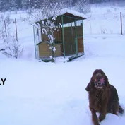 Krásni a úspešní...