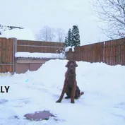 Krásni a úspešní...