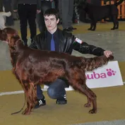 Výstava v Nitre