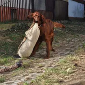 Jesinka sa zabáva