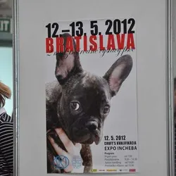 MVP Bratislava