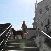 WDS
