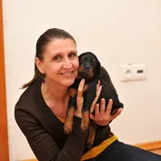 Šteniatka Gordon setrov