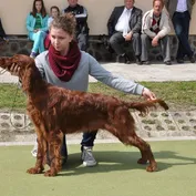 Nelinkina druhá výstava