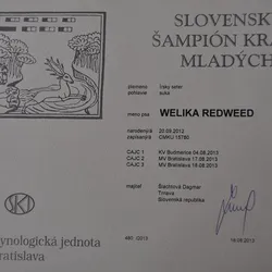 Nelinka - šampionka