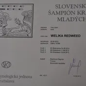 Nelinka - šampionka