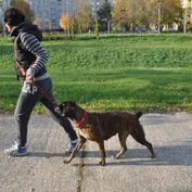 Jesenná prechádzka